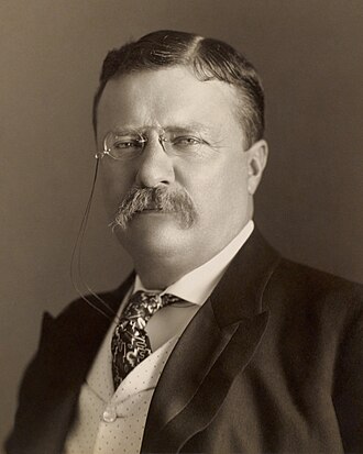 Theodore Roosevelt (film)
